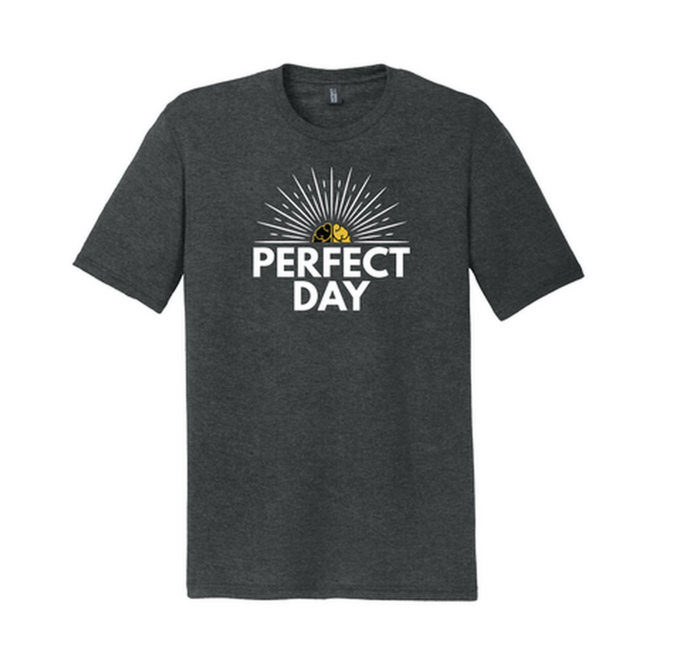 Perfect Day T-Shirt